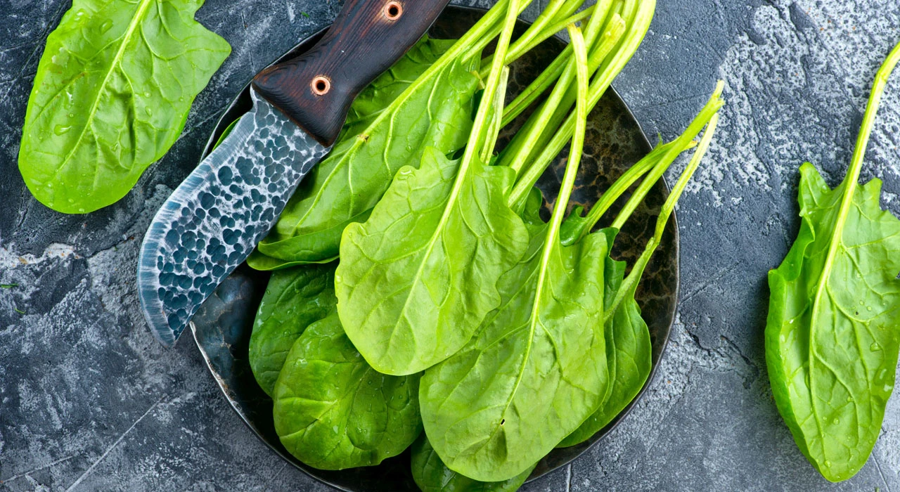 a dan z ye a vitamini içeren besinler listesi a vitamini hangi besinlerde bulunur (4)
